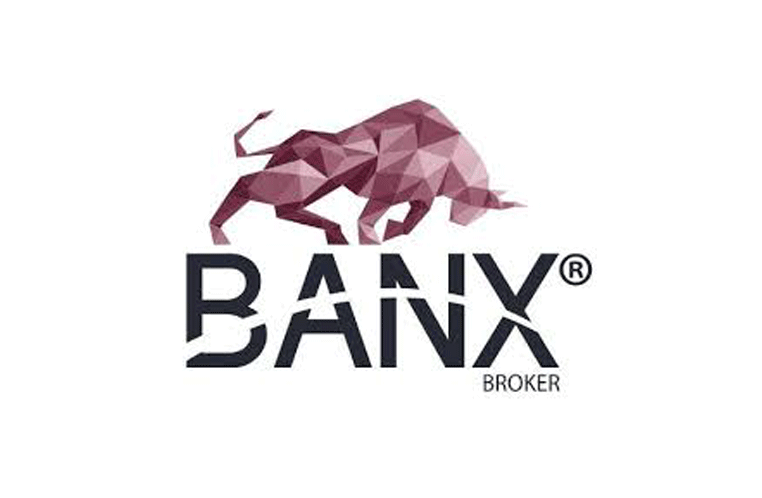 banx logo